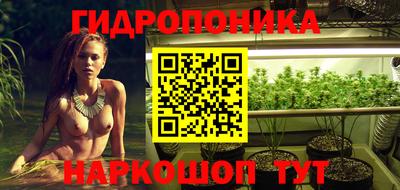 шишки Жуковский