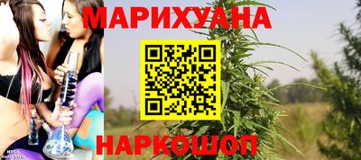 шишки Жуковский