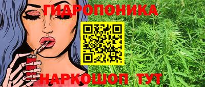шишки Жуковский